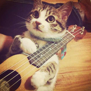 馒头鲍美女被肏
